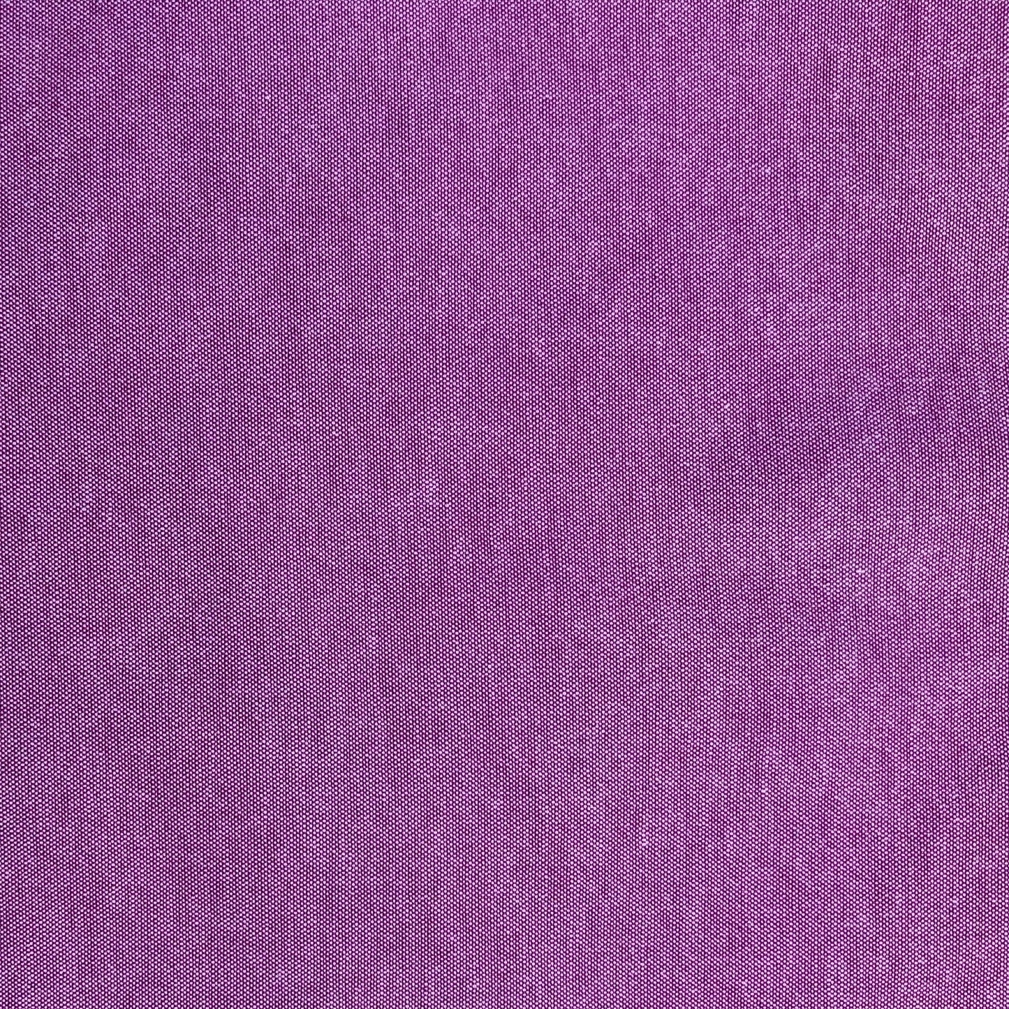 Panita lavanda